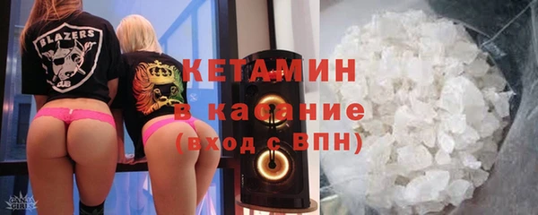 индика Вяземский