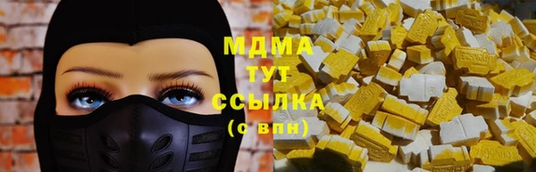 индика Вяземский