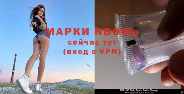 индика Вяземский