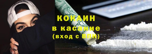 индика Вяземский