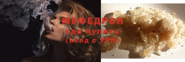 индика Вяземский
