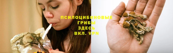 твердый Вязьма