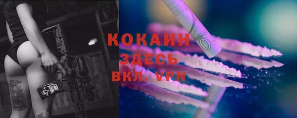 индика Вяземский