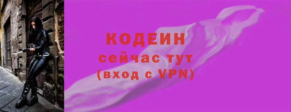 индика Вяземский