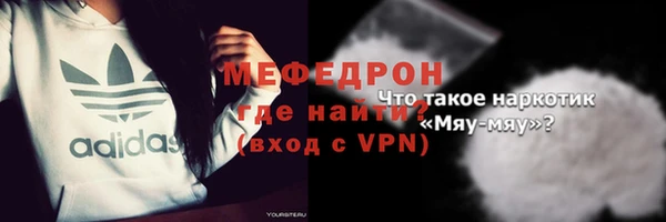 индика Вяземский