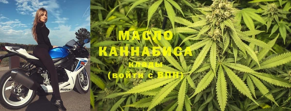 индика Вяземский