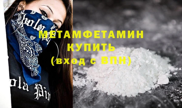 индика Вяземский