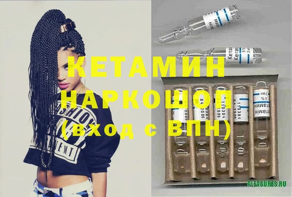 индика Вяземский
