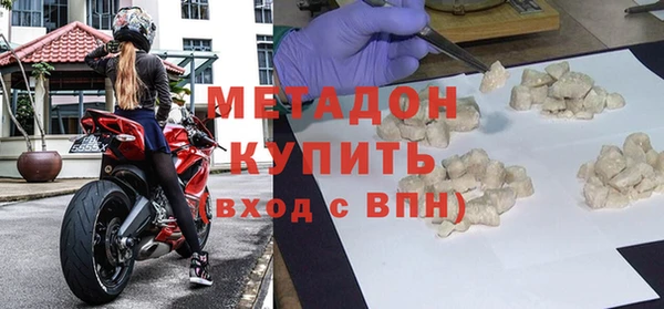 индика Вяземский