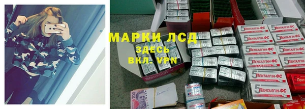 индика Вяземский