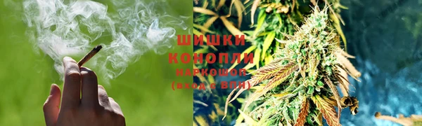 индика Вяземский