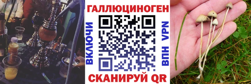 Псилоцибиновые грибы GOLDEN TEACHER  Десногорск 